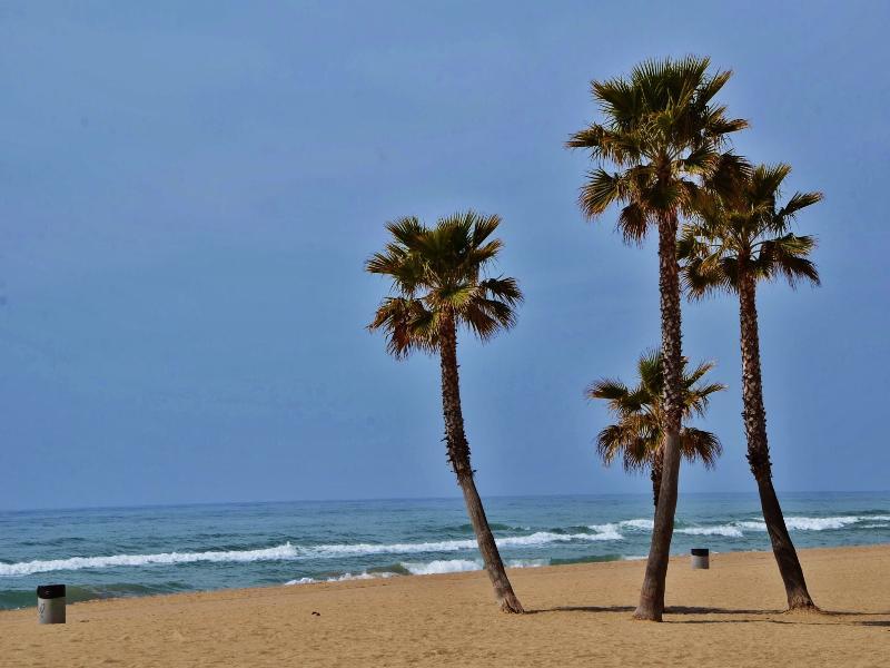 Camping Estival Vendrell Platja Coma-ruga Esterno foto